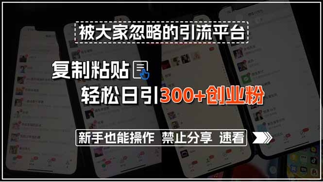 被大家忽略的引流平台，复制粘贴轻松日引300+创业粉，新手也能操作，禁