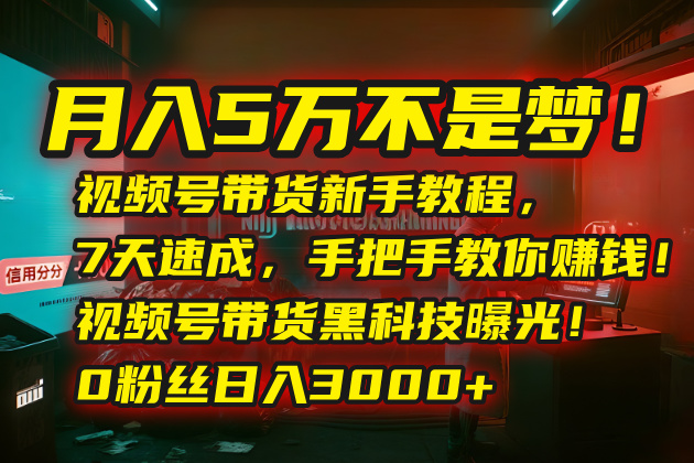 月入5万不是梦！视频号带货新手教程，7天速成，手把手教你赚钱！视频号