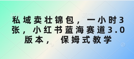 私域卖壮锦包，一小时3张，小红书蓝海赛道3.0版本， 保姆式教学