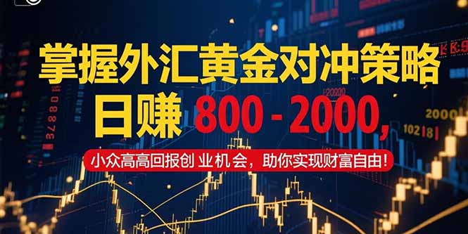 掌握外汇黄金对冲策略，日赚 800  2000，小众高回报创业机会，助你实